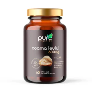 Coama Leului – Memorie și focus