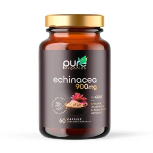 Echinacea – Imunitate și sezon