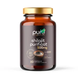 Shilajit – Energie și recuperare