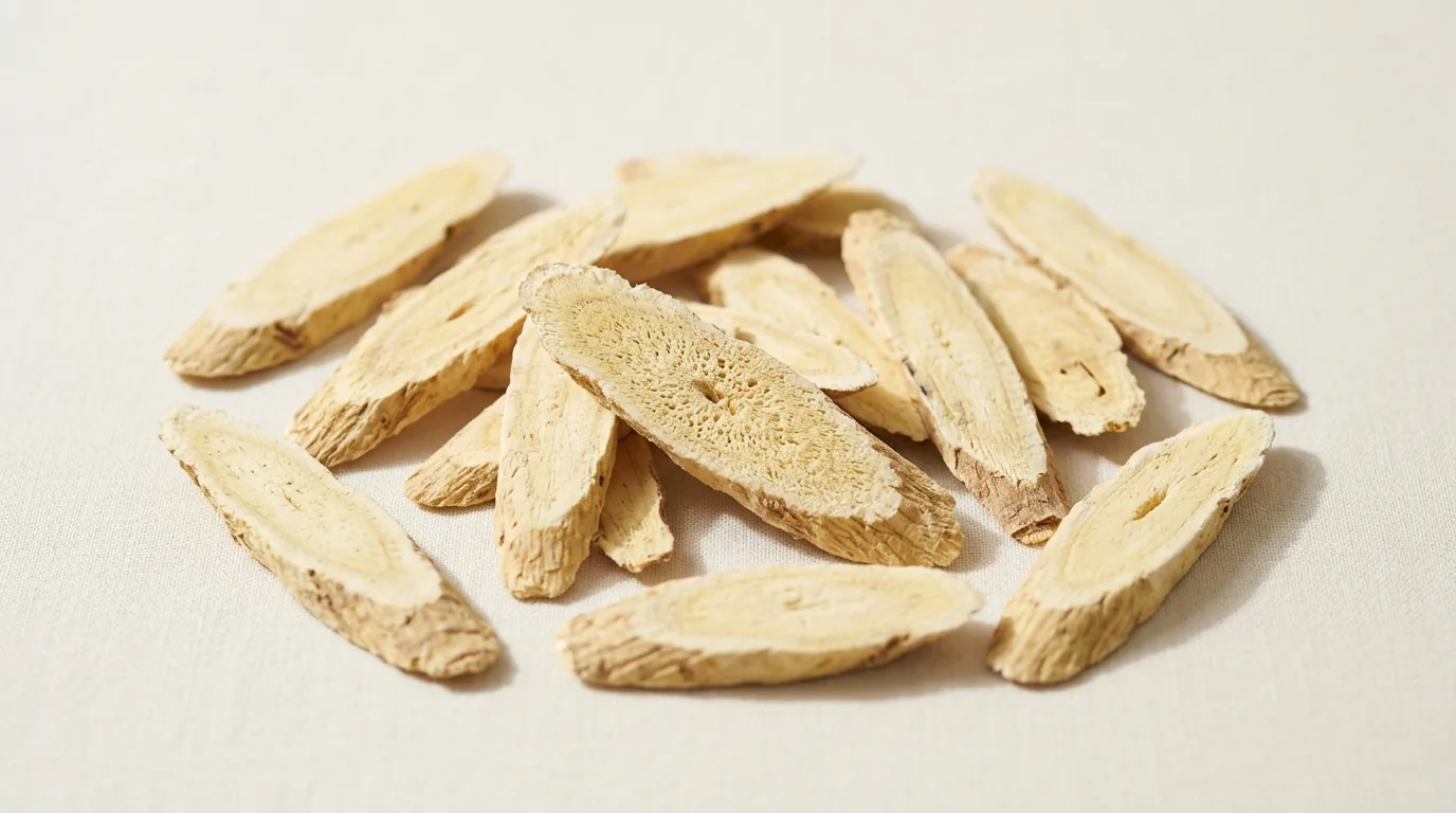 Astragalus membranaceus rădăcini uscate — extract pentru imunitate și longevitate