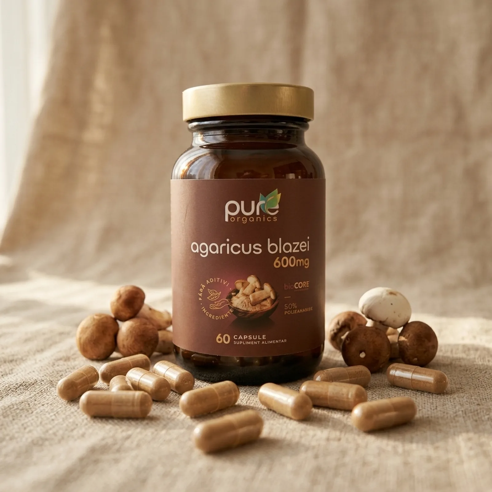 Extract Agaricus Blazei Murill — origine botanică