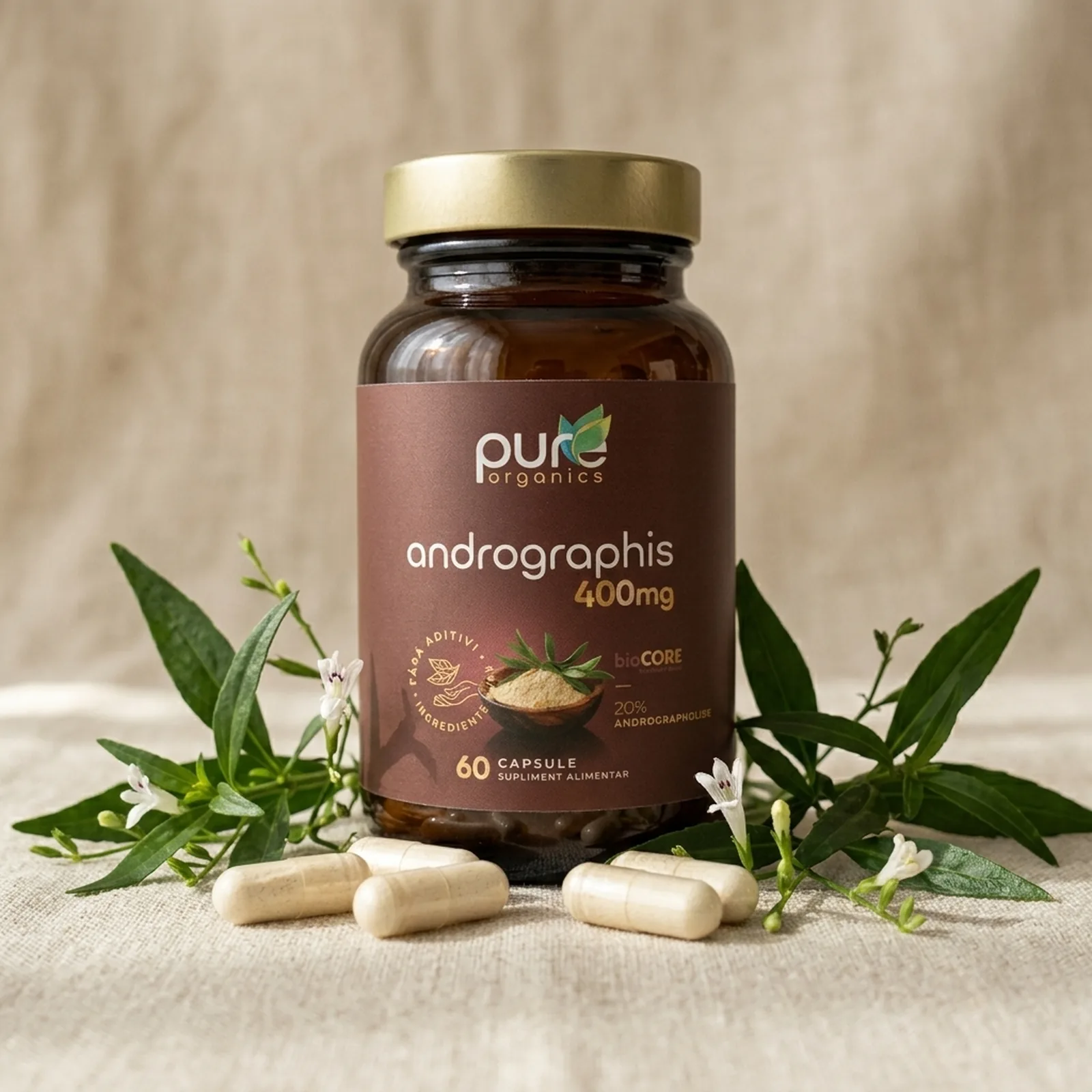 Extract Andrographis paniculata — origine botanică