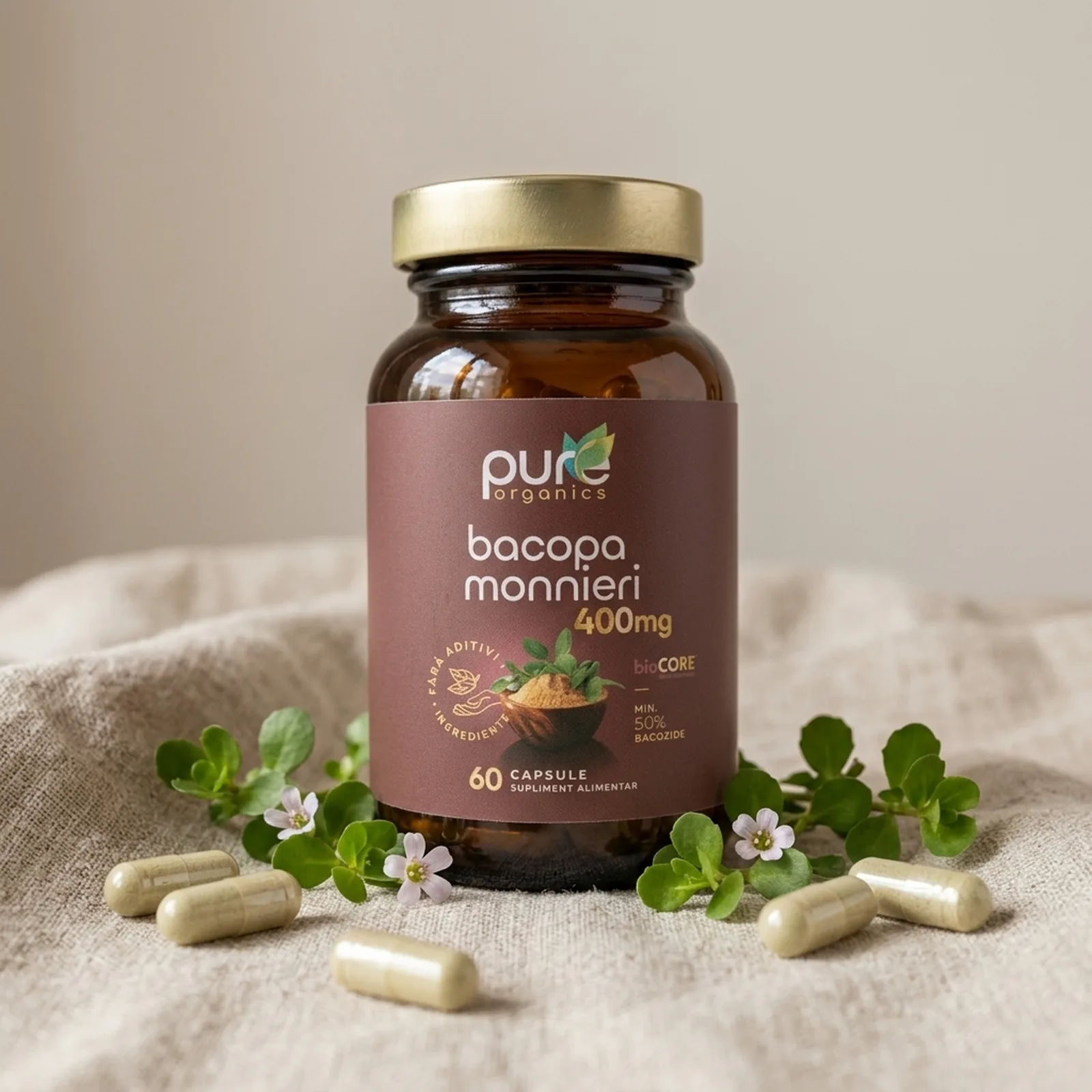Extract Bacopa monnieri 50% bacozide — ingredient natural