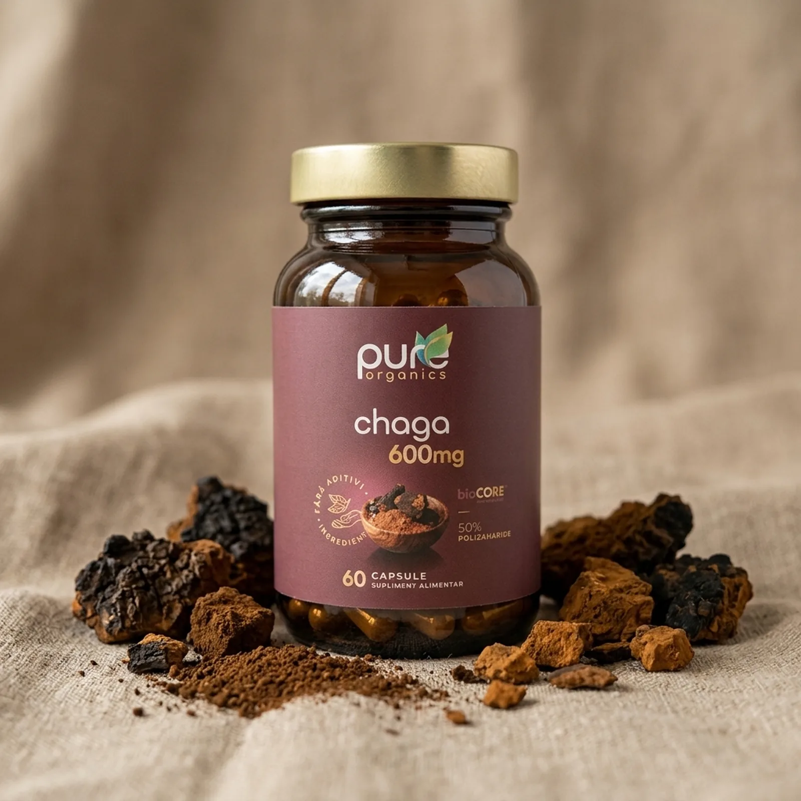 Extract Inonotus obliquus Chaga BioCORE® PureOrganics