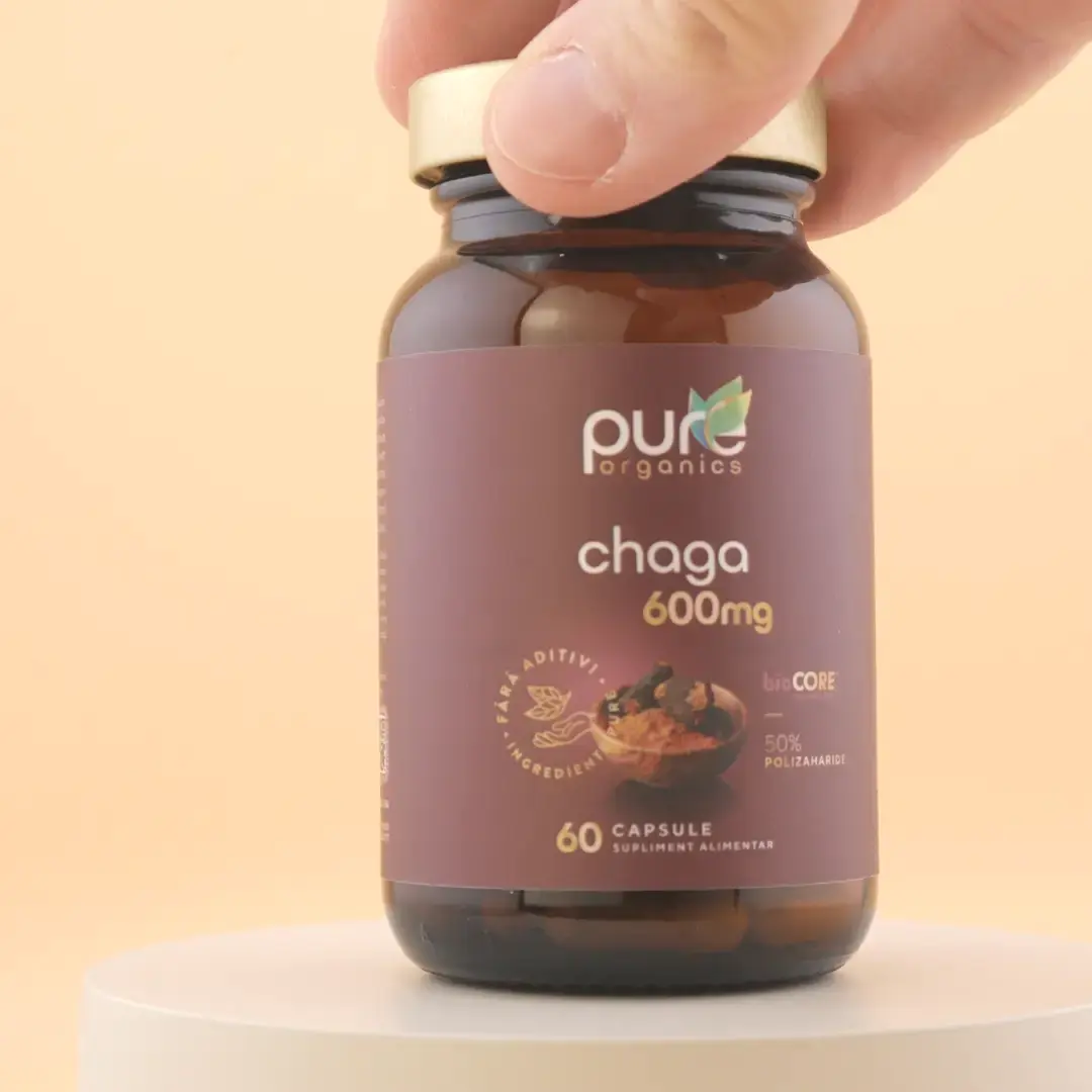 Video produs chaga