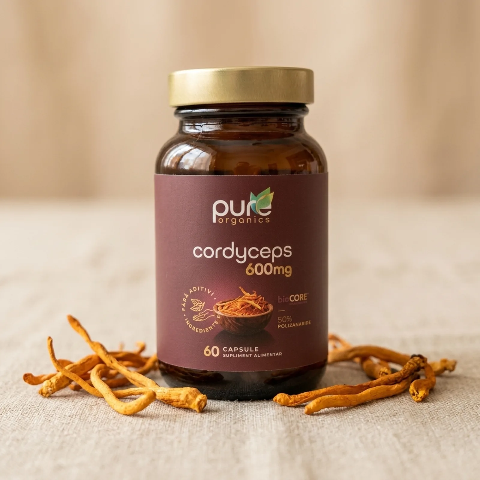 Cordyceps militaris — extract 20:1 ingredient botanic