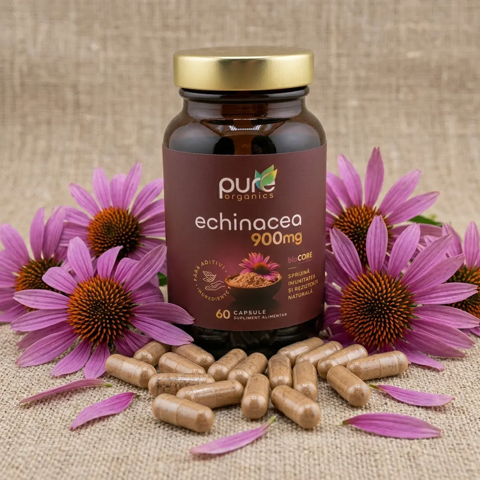 Extract Echinacea purpurea sursa naturală