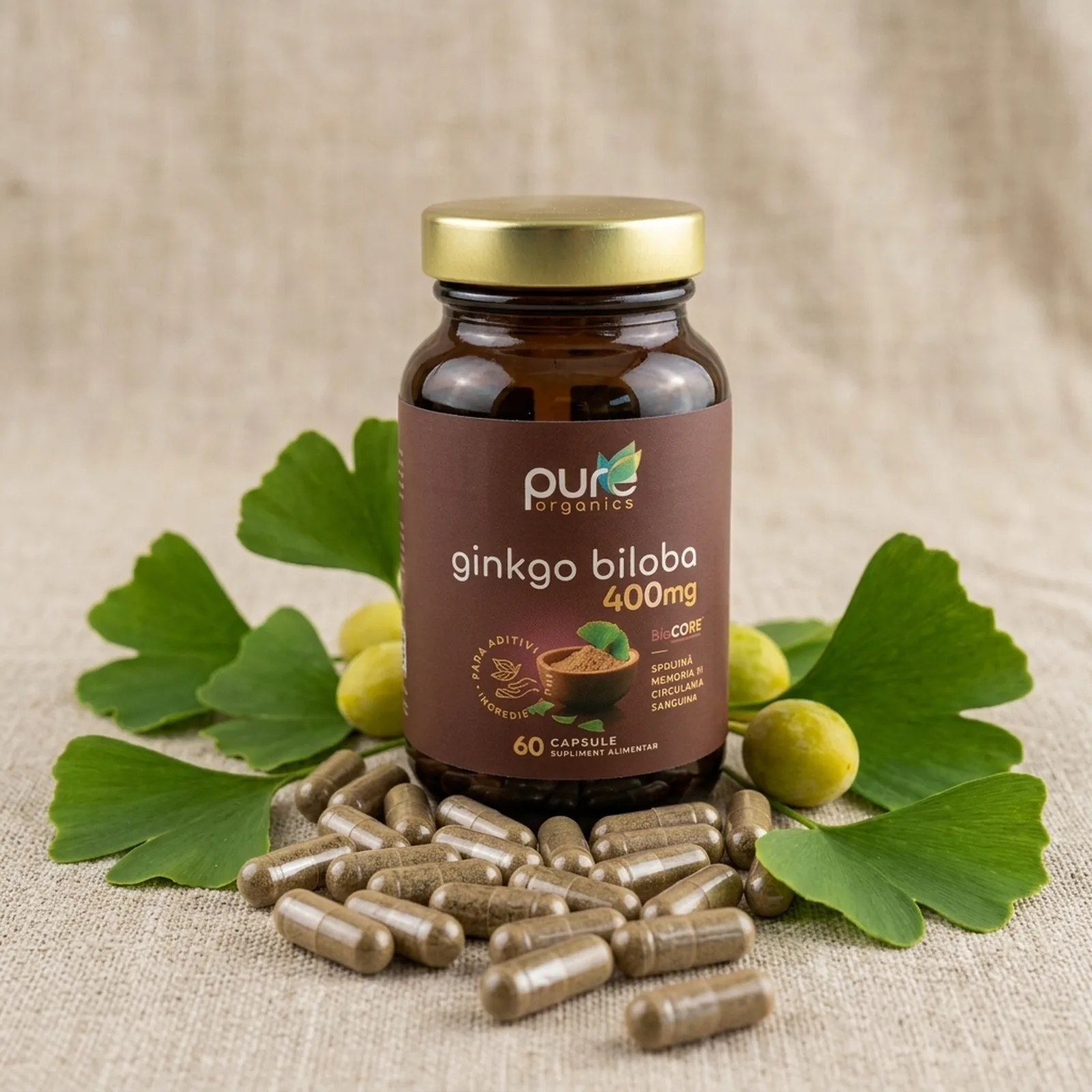 Extract Ginkgo Biloba — frunze botanice şi flacon