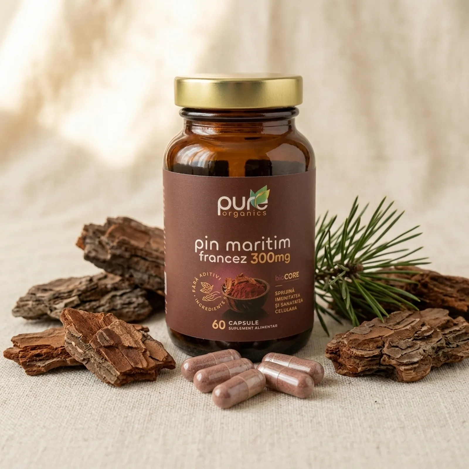 Extract scoarță pin maritim francez — Pinus pinaster, capsule pullulan BioCORE® OPC