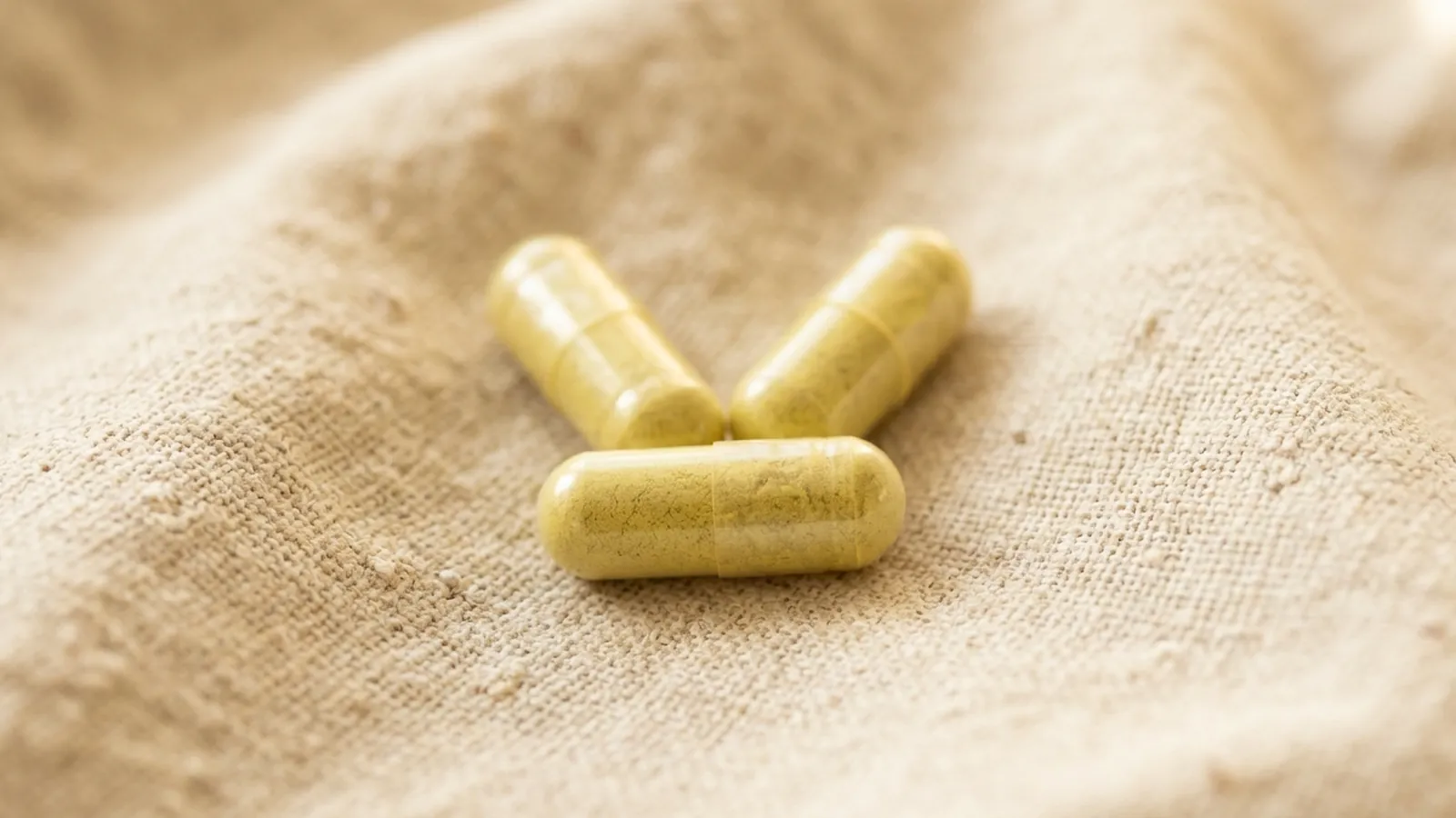 Capsule pullulan Quercetina BioCORE® — extract Styphnolobium japonicum 97.20% HPLC