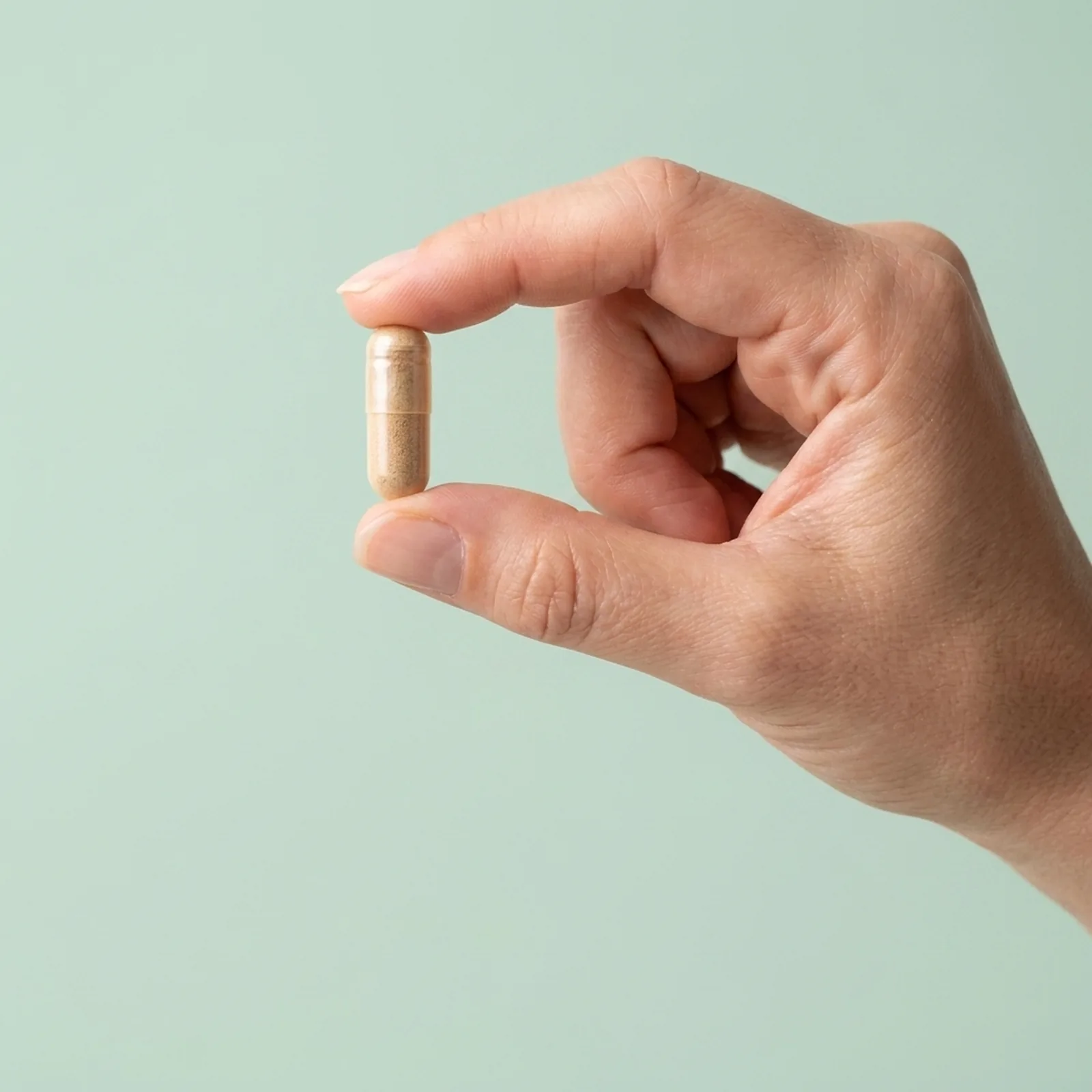 Shiitake BioCORE® — capsule imunitate activată