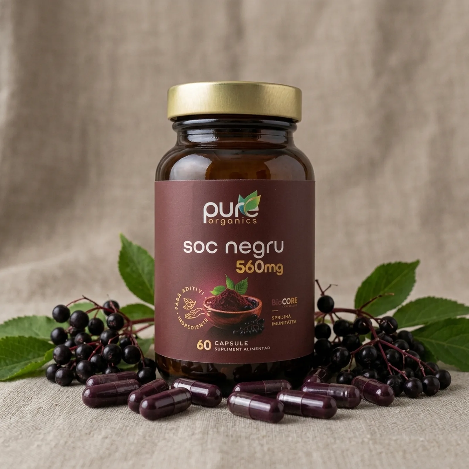 Extract Sambucus nigra — sursă botanică