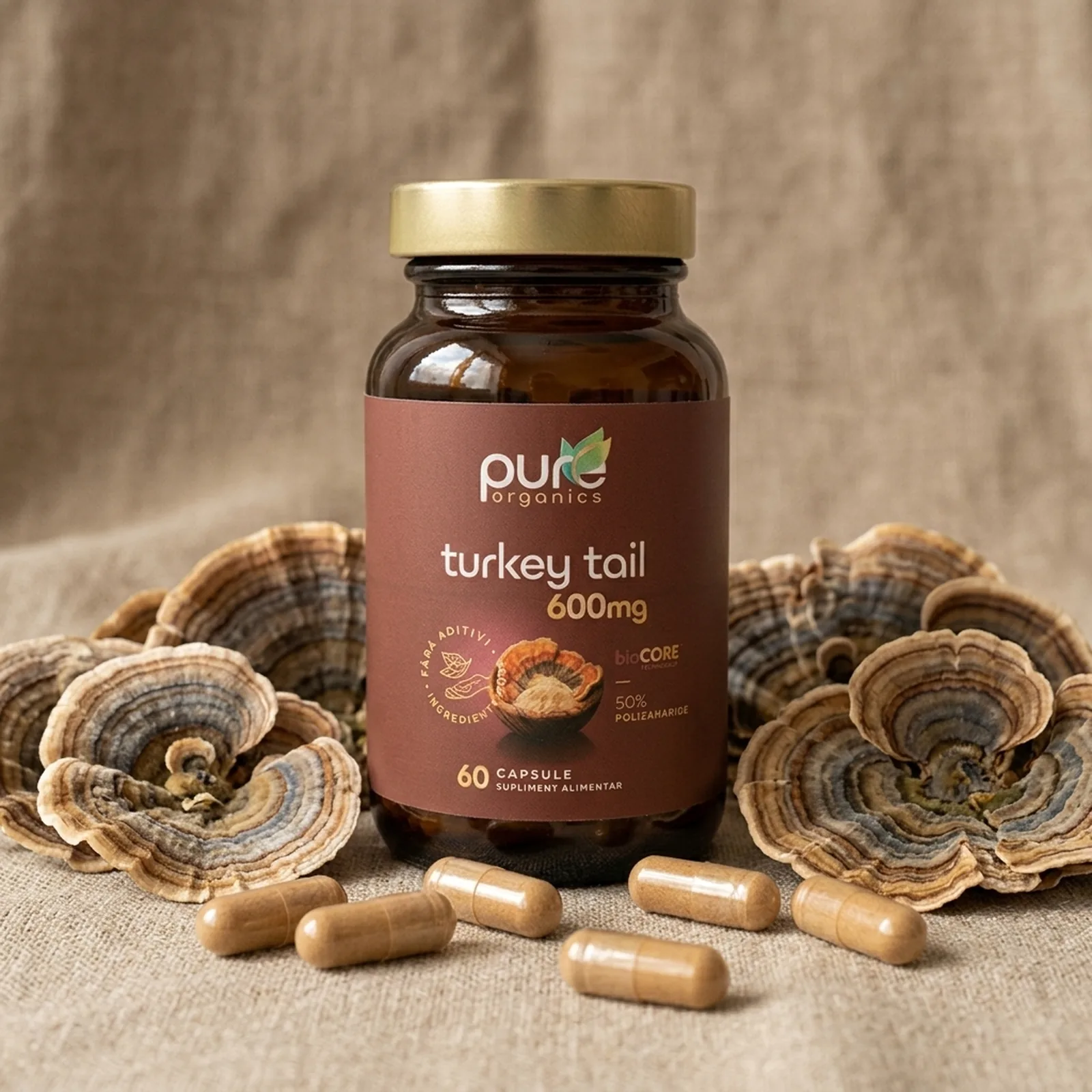 Turkey Tail — extract Trametes versicolor